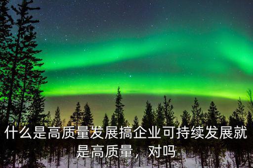 什么是高質(zhì)量發(fā)展搞企業(yè)可持續(xù)發(fā)展就是高質(zhì)量，對嗎