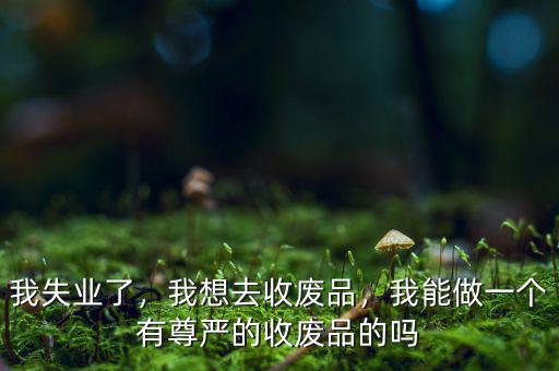 我失業(yè)了，我想去收廢品，我能做一個(gè)有尊嚴(yán)的收廢品的嗎