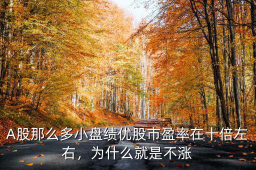 A股那么多小盤績優(yōu)股市盈率在十倍左右，為什么就是不漲