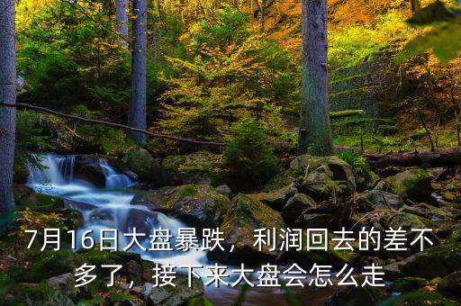 7月16日大盤暴跌，利潤回去的差不多了，接下來大盤會怎么走