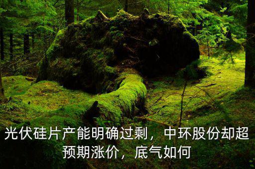 光伏硅片產(chǎn)能明確過剩，中環(huán)股份卻超預(yù)期漲價，底氣如何