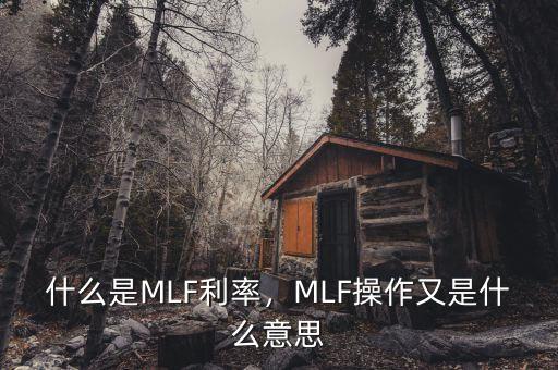 什么是MLF利率，MLF操作又是什么意思
