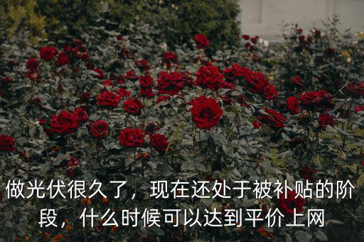做光伏很久了，現(xiàn)在還處于被補(bǔ)貼的階段，什么時(shí)候可以達(dá)到平價(jià)上網(wǎng)