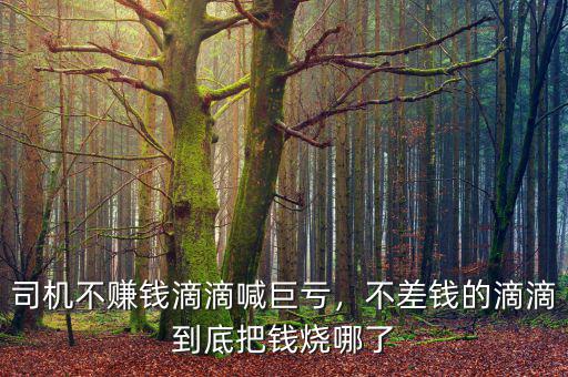 司機(jī)不賺錢滴滴喊巨虧，不差錢的滴滴到底把錢燒哪了