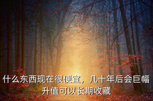 什么東西現(xiàn)在很便宜，幾十年后會(huì)巨幅升值可以長(zhǎng)期收藏