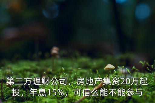 第三方理財(cái)公司，房地產(chǎn)集資20萬起投，年息15%，可信么能不能參與