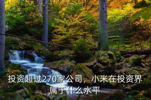 投資超過(guò)270家公司，小米在投資界屬于什么水平