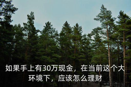 如果手上有30萬(wàn)現(xiàn)金，在當(dāng)前這個(gè)大環(huán)境下，應(yīng)該怎么理財(cái)