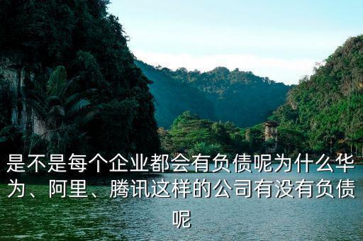 是不是每個企業(yè)都會有負(fù)債呢為什么華為、阿里、騰訊這樣的公司有沒有負(fù)債呢