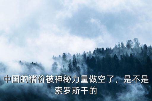 中國(guó)的豬價(jià)被神秘力量做空了，是不是索羅斯干的