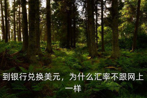 到銀行兌換美元，為什么匯率不跟網(wǎng)上一樣