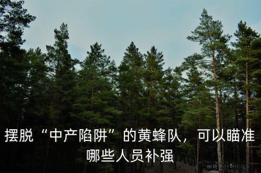 擺脫“中產(chǎn)陷阱”的黃蜂隊(duì)，可以瞄準(zhǔn)哪些人員補(bǔ)強(qiáng)