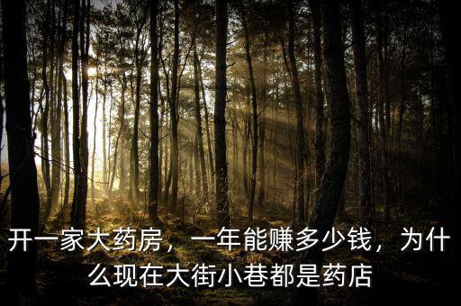 開一家大藥房，一年能賺多少錢，為什么現(xiàn)在大街小巷都是藥店