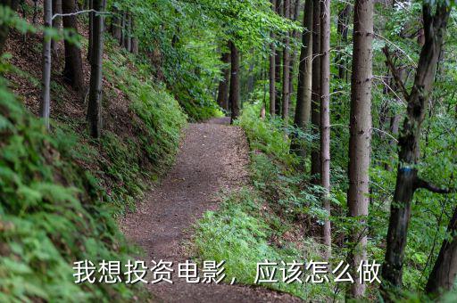 我想投資電影，應(yīng)該怎么做