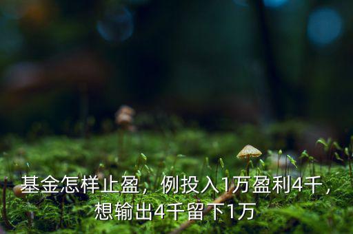 基金怎樣止盈，例投入1萬盈利4千，想輸出4千留下1萬