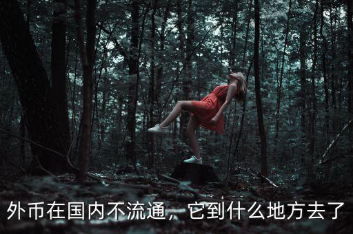 外幣在國內(nèi)不流通，它到什么地方去了