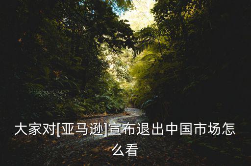 大家對(duì)[亞馬遜]宣布退出中國市場怎么看