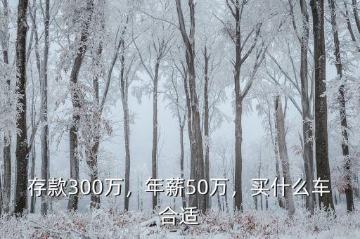 存款300萬(wàn)，年薪50萬(wàn)，買(mǎi)什么車(chē)合適