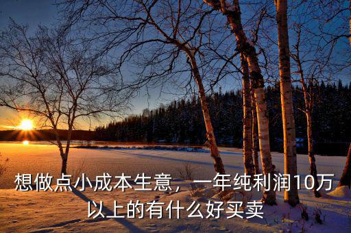 想做點(diǎn)小成本生意，一年純利潤(rùn)10萬(wàn)以上的有什么好買賣