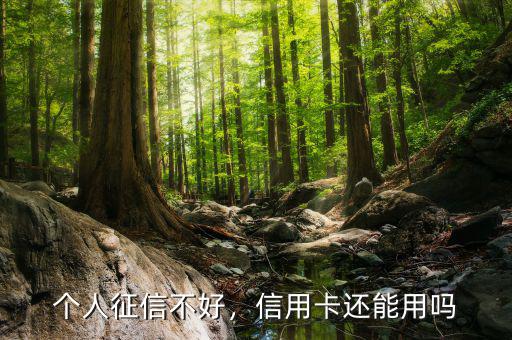 個(gè)人征信不好，信用卡還能用嗎