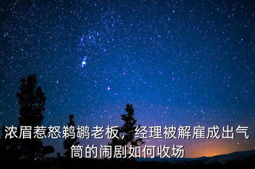 濃眉惹怒鵜鶘老板，經(jīng)理被解雇成出氣筒的鬧劇如何收場