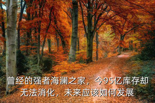 曾經(jīng)的強(qiáng)者海瀾之家，今95億庫存卻無法消化，未來應(yīng)該如何發(fā)展