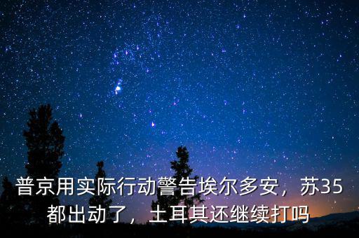 普京用實(shí)際行動(dòng)警告埃爾多安，蘇35都出動(dòng)了，土耳其還繼續(xù)打嗎