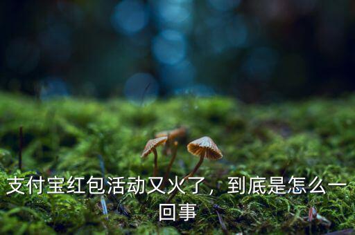 支付寶紅包活動(dòng)又火了，到底是怎么一回事