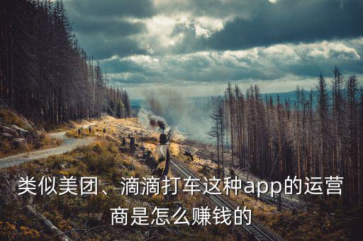 類似美團(tuán)、滴滴打車這種app的運(yùn)營商是怎么賺錢的