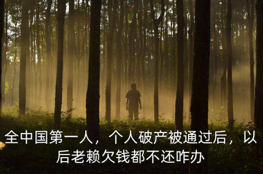全中國(guó)第一人，個(gè)人破產(chǎn)被通過(guò)后，以后老賴欠錢都不還咋辦