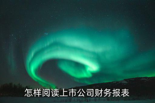 怎樣閱讀上市公司財務報表