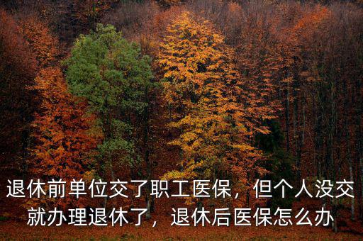 退休前單位交了職工醫(yī)保，但個(gè)人沒(méi)交就辦理退休了，退休后醫(yī)保怎么辦