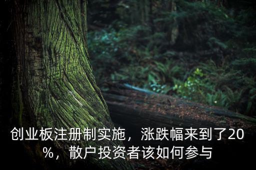創(chuàng)業(yè)板注冊制實施，漲跌幅來到了20%，散戶投資者該如何參與