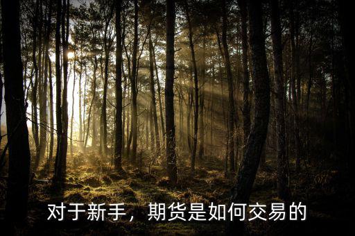 對于新手，期貨是如何交易的
