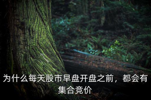 為什么每天股市早盤開盤之前，都會有集合競價
