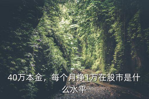 40萬本金，每個月掙1萬在股市是什么水平