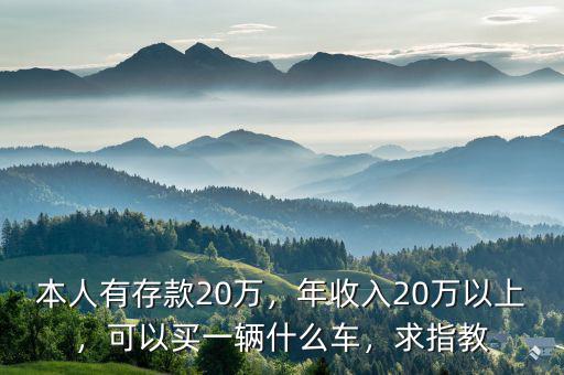 本人有存款20萬(wàn)，年收入20萬(wàn)以上，可以買一輛什么車，求指教
