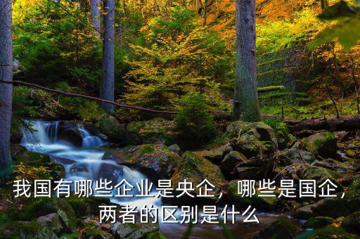 我國有哪些企業(yè)是央企，哪些是國企，兩者的區(qū)別是什么