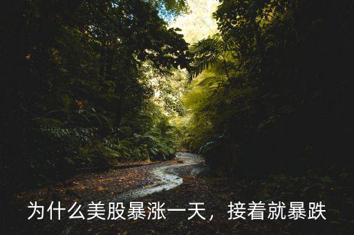 為什么美股暴漲一天，接著就暴跌