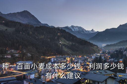 種一百畝小麥成本多少錢，利潤多少錢有什么建議