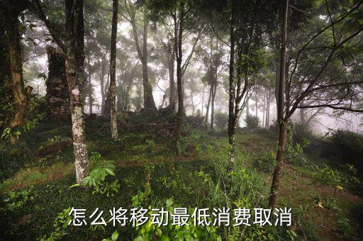 最低消費(fèi)怎么取消,移動(dòng)號碼最低消費(fèi)怎么能降低