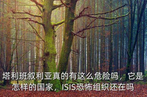 有多少?lài)?guó)家打is,它是怎樣的國(guó)家