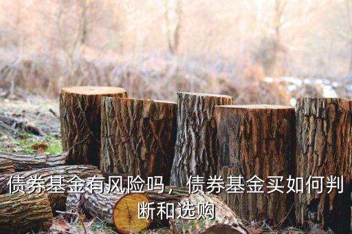 債券基金有風(fēng)險嗎，債券基金買如何判斷和選購