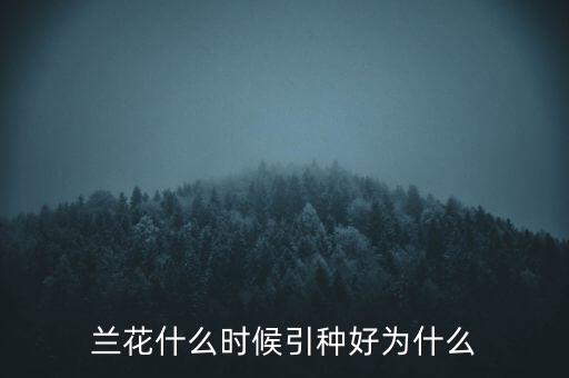 蘭花什么時(shí)候引種好為什么