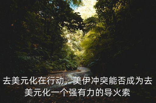 去美元化在行動(dòng)，美伊沖突能否成為去美元化一個(gè)強(qiáng)有力的導(dǎo)火索