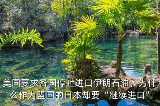 美國(guó)要求各國(guó)停止進(jìn)口伊朗石油，為什么作為盟國(guó)的日本卻要“繼續(xù)進(jìn)口”