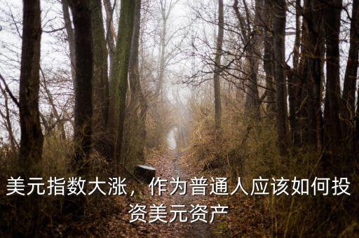美元指數(shù)大漲，作為普通人應(yīng)該如何投資美元資產(chǎn)
