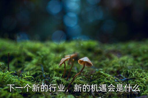 下一個新的行業(yè)，新的機遇會是什么