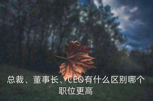 總裁、董事長(zhǎng)、CEO有什么區(qū)別哪個(gè)職位更高