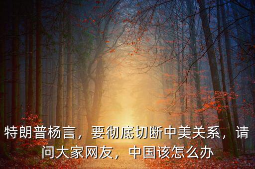 特朗普楊言，要徹底切斷中美關(guān)系，請(qǐng)問大家網(wǎng)友，中國(guó)該怎么辦